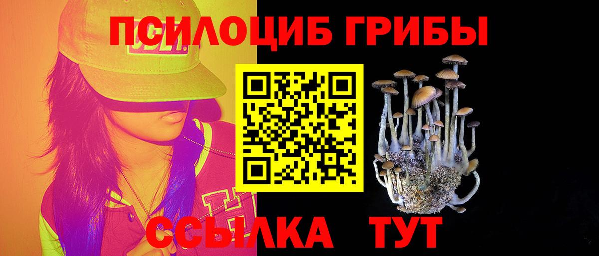 Псилоцибиновые грибы прущие грибы Усть-Илимск